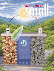 冶金学院Ali&nbsp;R.&nbsp;Kama...